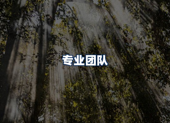 专业团队